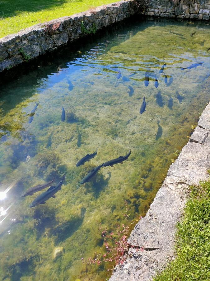 Les Pieds Dans L'Eau, Gite La Source Lachapelle-Auzac Exterior photo